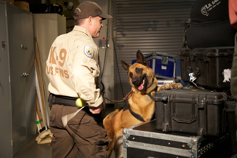 Law enforcement with K-9-1