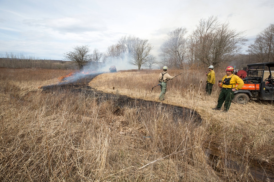 Working the prescribed burn at Canaan Valley
