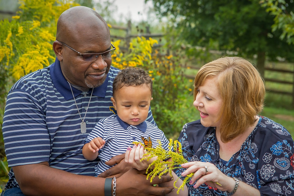 Family with monarch butterfly on goldenrod flowers-2