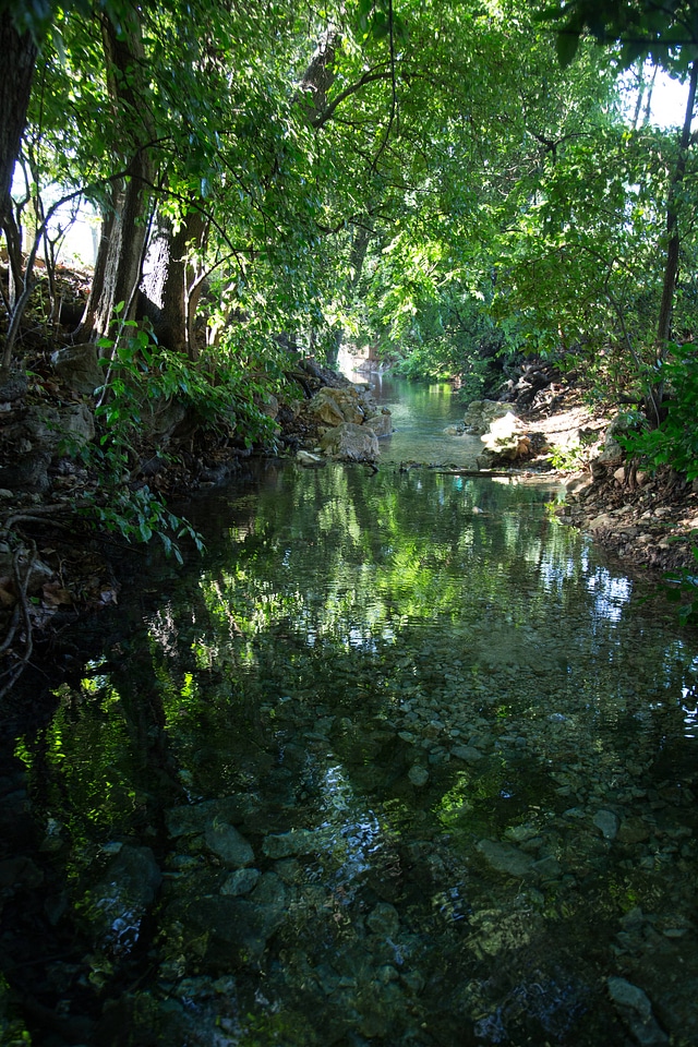 Comal Springs-1