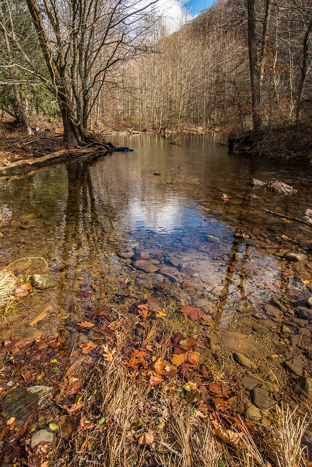 Photographer taking underwater pictures of brook trout in Seneca Creek-1