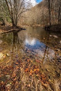 Photographer taking underwater pictures of brook trout in Seneca Creek-1
