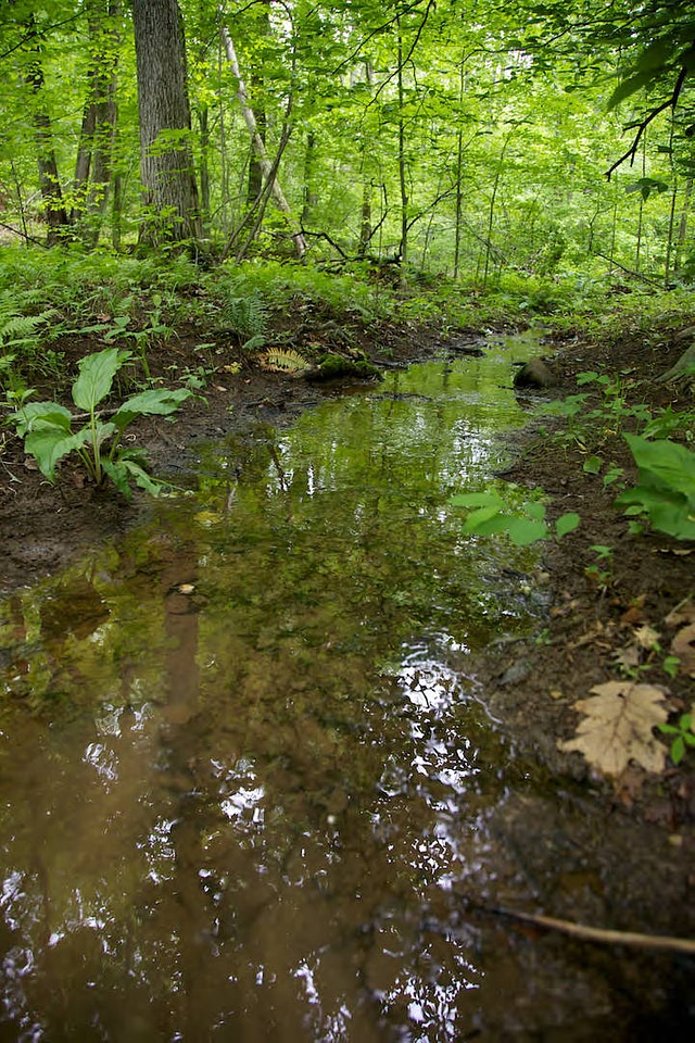 FWS employees surveying and assessing rivers and streams-3