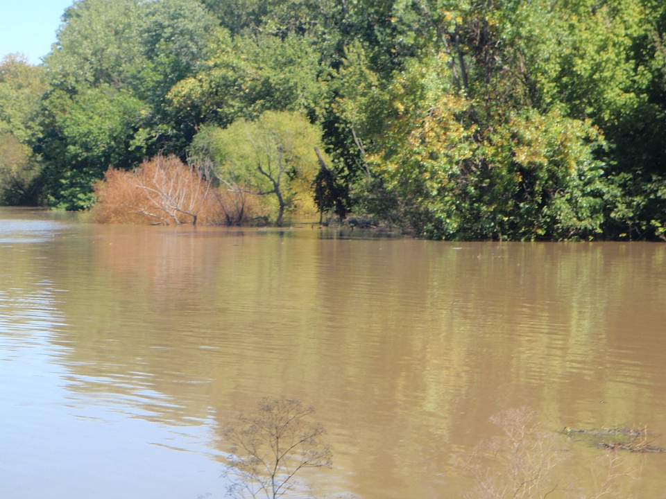 Flooded area at Swan Lake National Wildlife Refuge