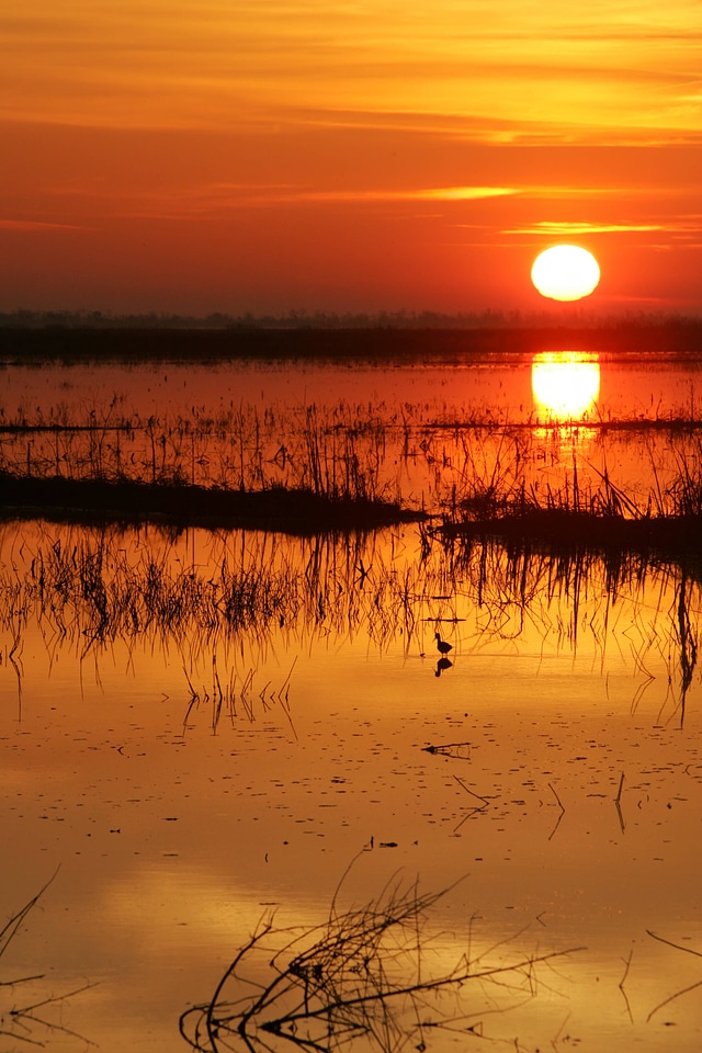 Sunrise-1