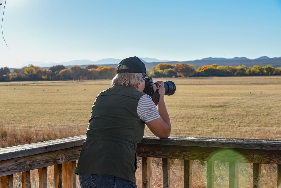 Visitor photographs Sandhill Cranes in the field from Willow Deck