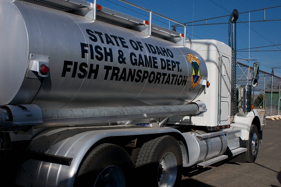 Large fish hauling truck