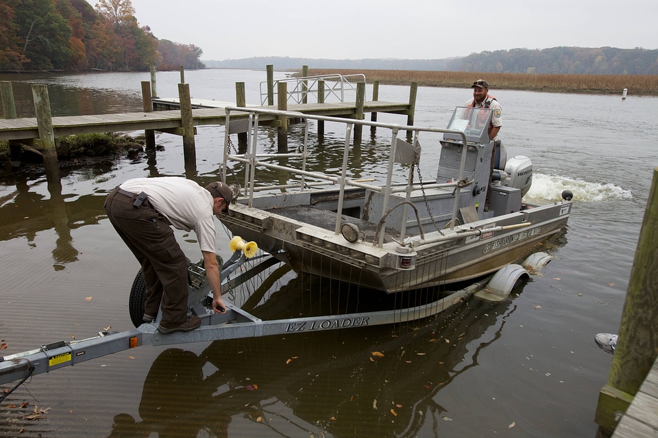 Electrofishing for Northern Snakehead-2