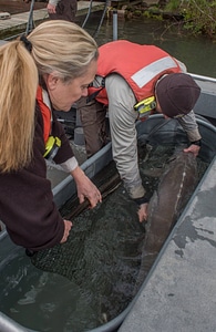 USFWS Fisheries workers-1