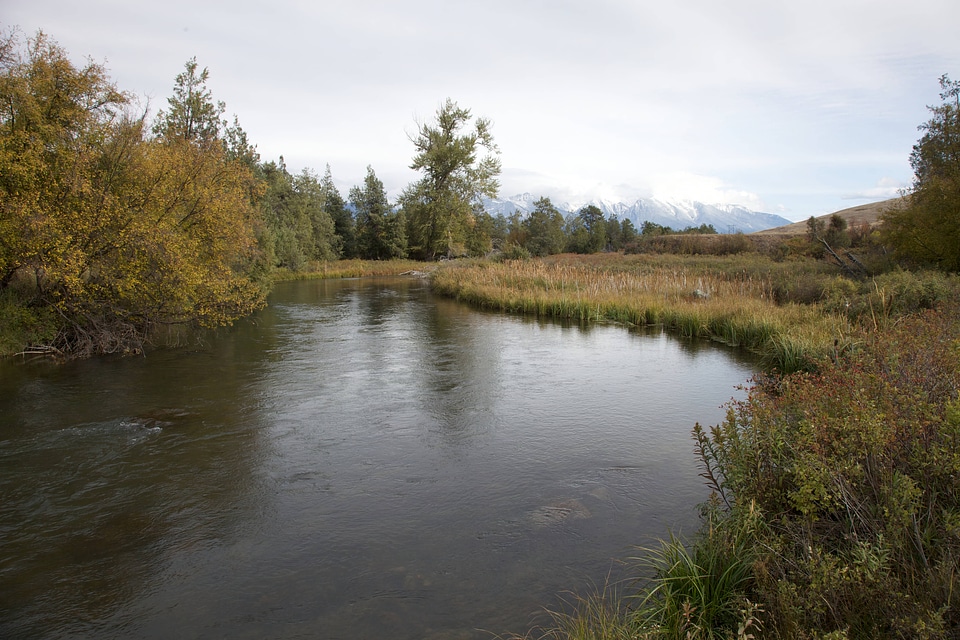 National Bison Range