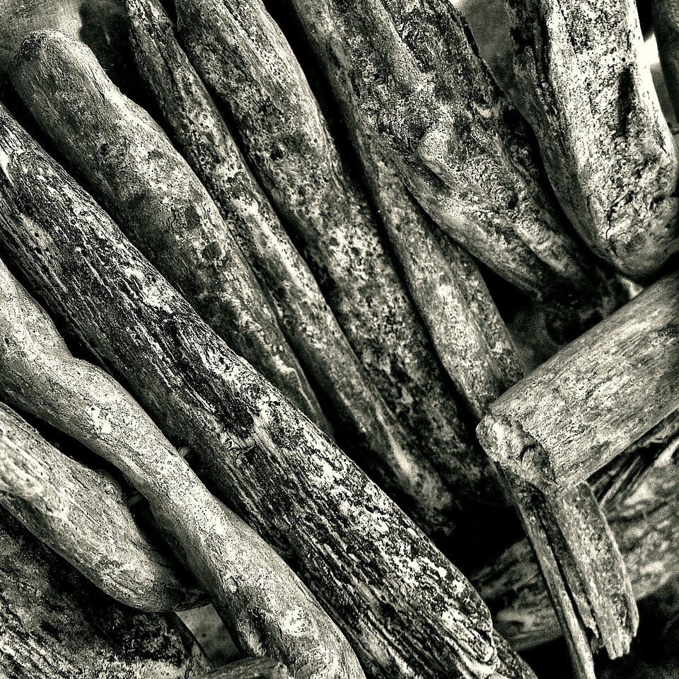 Driftwood beach background