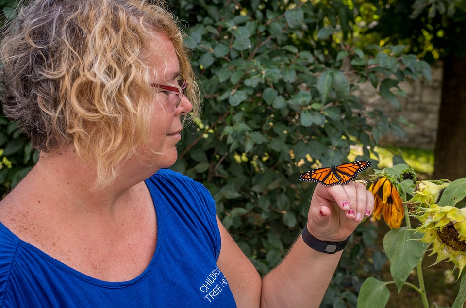 Monarch butterfly on woman's hand-1
