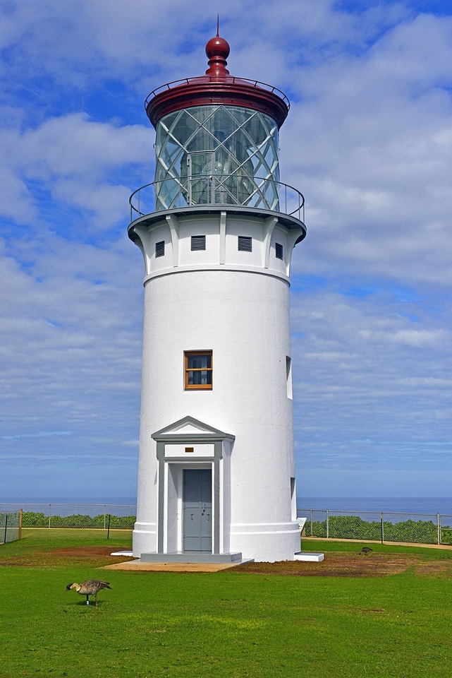 Restored vertical lighthouse at Kilauea Point Refuge