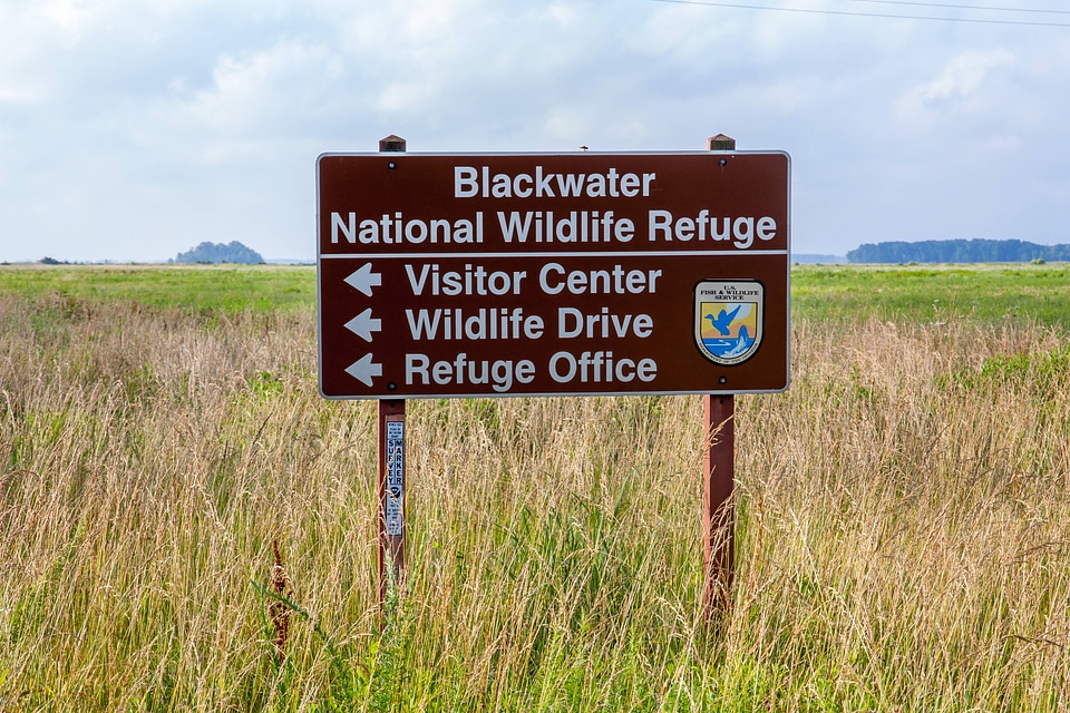 Blackwater NWR sign in field