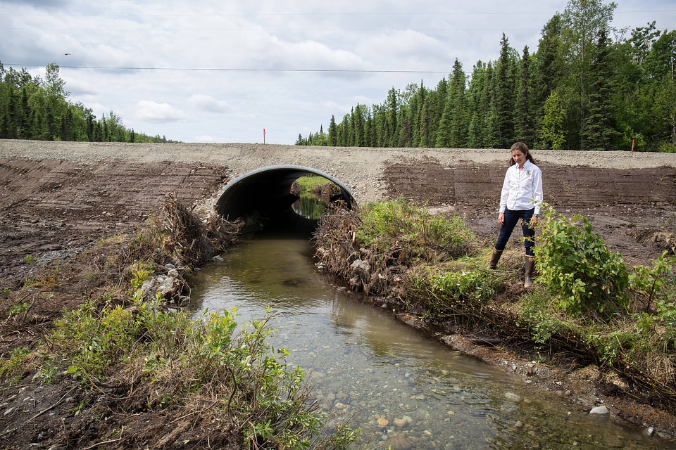 Fish passage engineer inspects new salmon friendly culvert-1