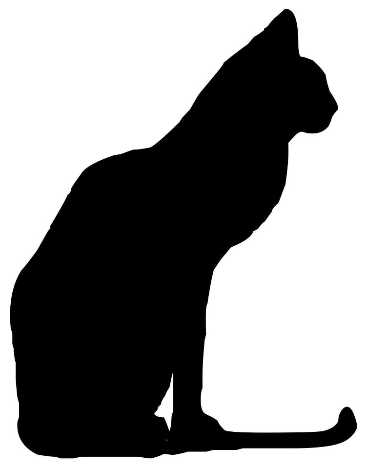 Cat animal silhouette