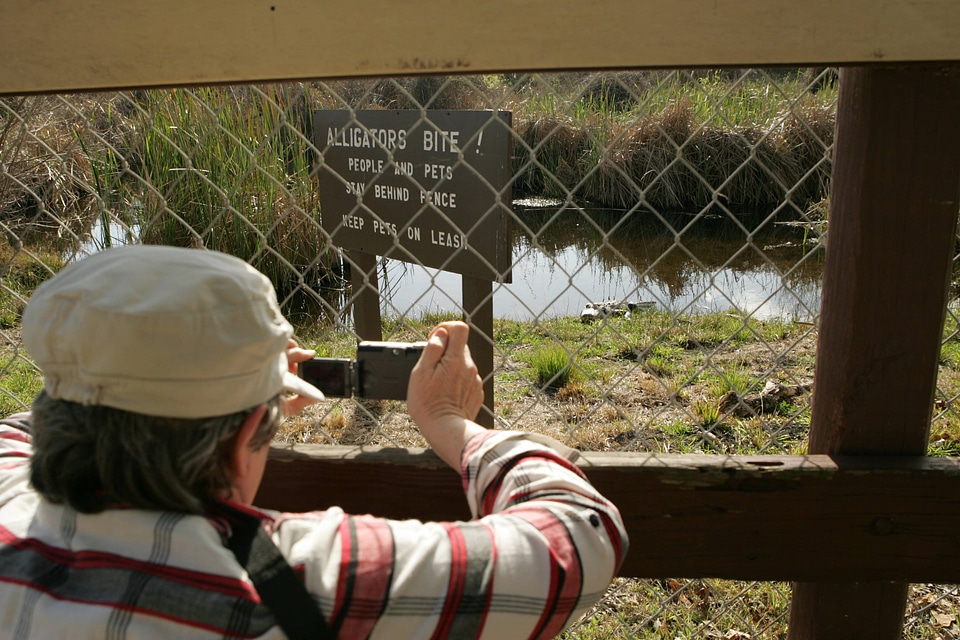 Photographer at Alligators Bite! sign 