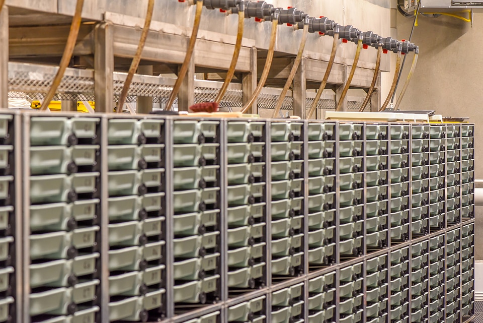 Incubation trays at Pendills Creek National Fish Hatchery-1