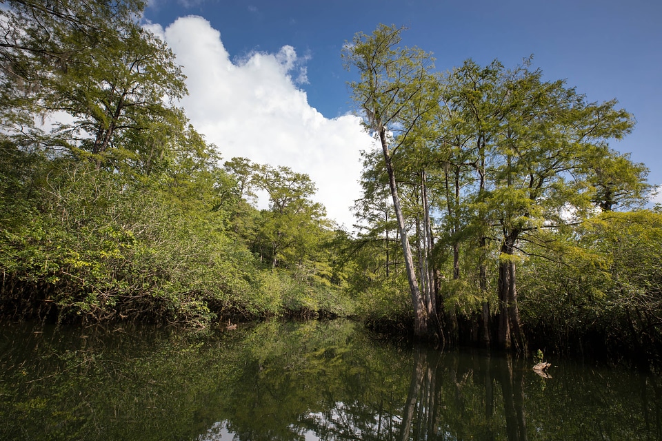 Choctawhatchee River-2