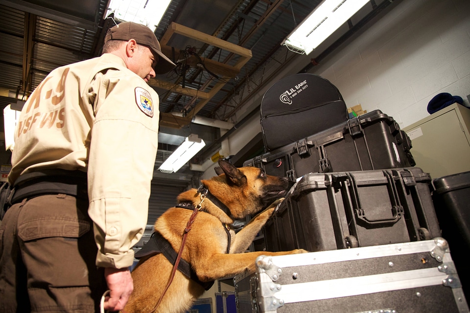 Law enforcement with K-9-1