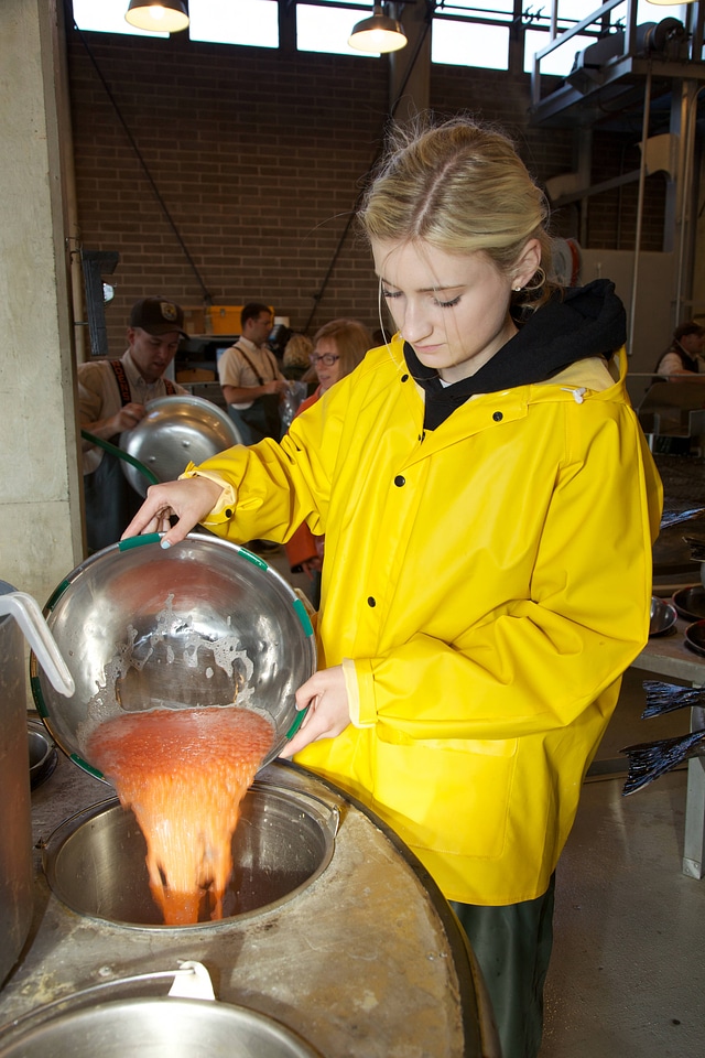 Service employee processing salmon eggs