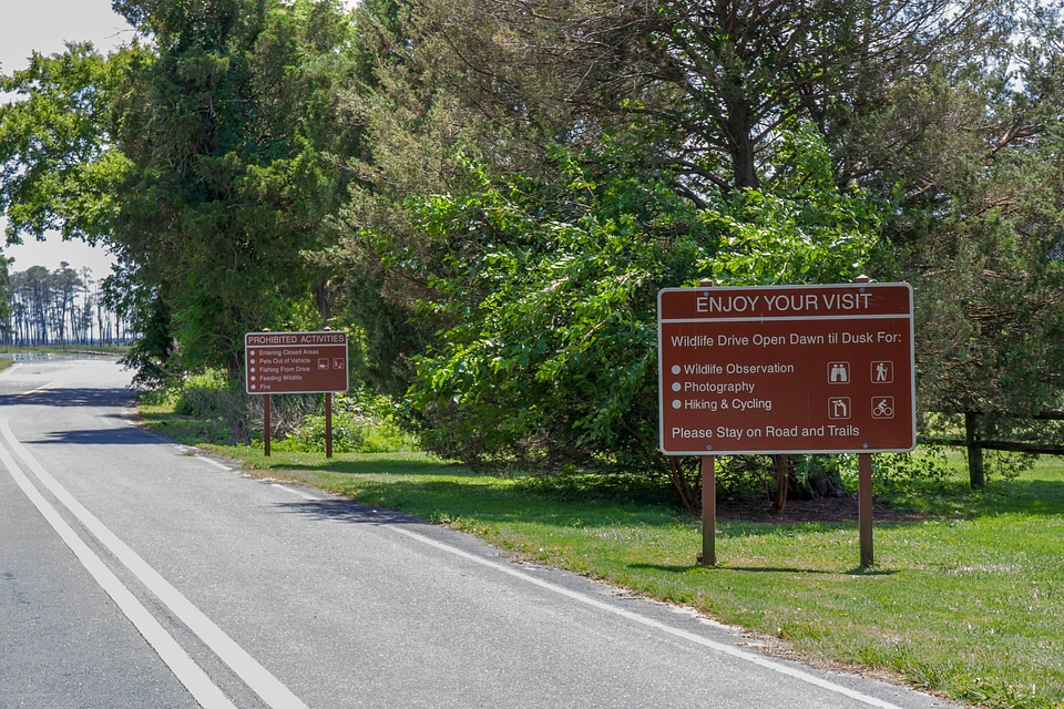 Blackwater NWR regulation signs along road