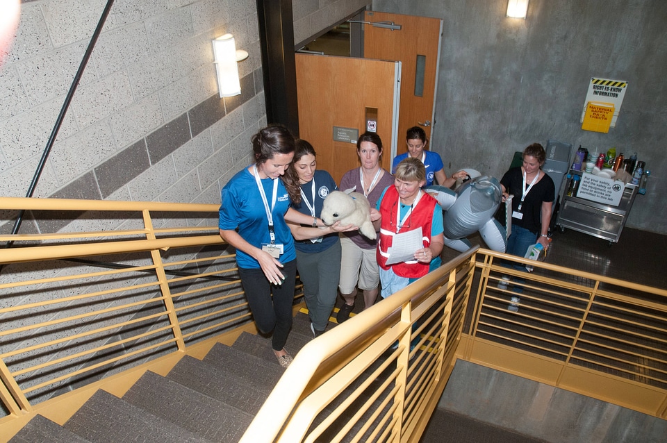 Marine Mammal Stranding Course at NCTC-1