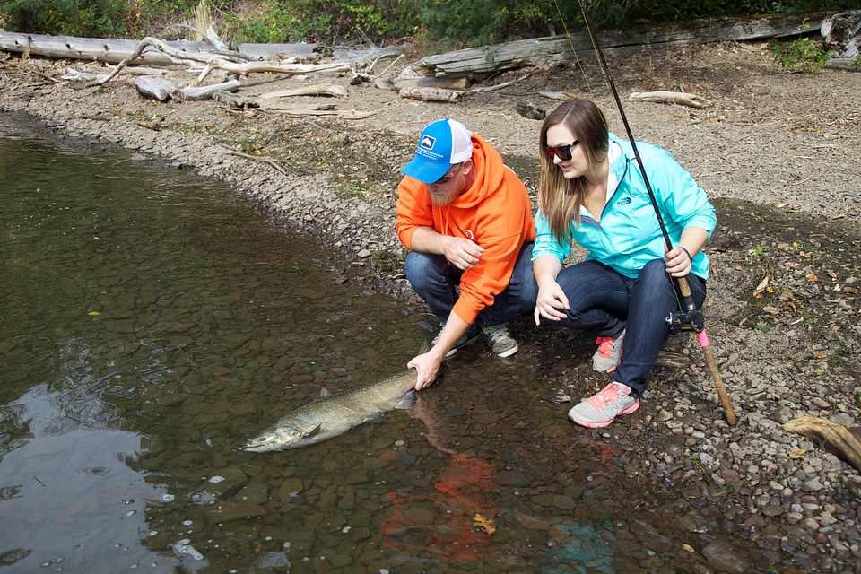 Anglers release a salmon-3