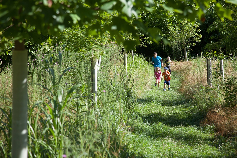 Kids run the trails-1