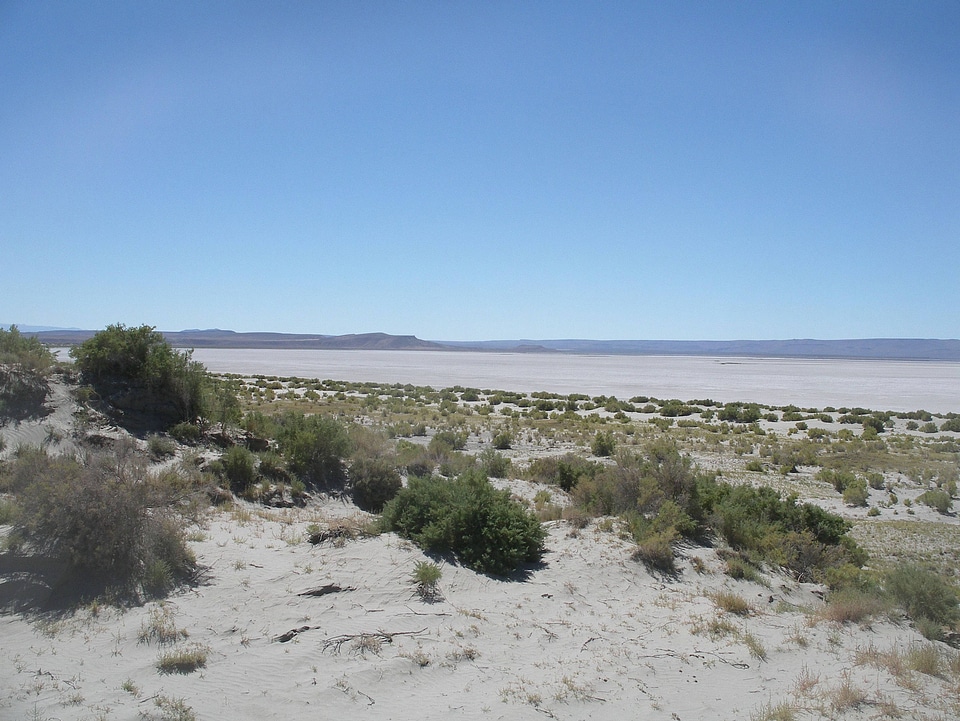Dunes at Playa Harney Lake