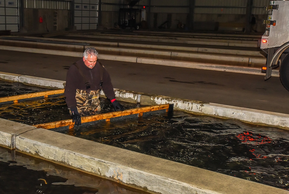 Service personnel prepare fish pump to load fish onto hatchery-5