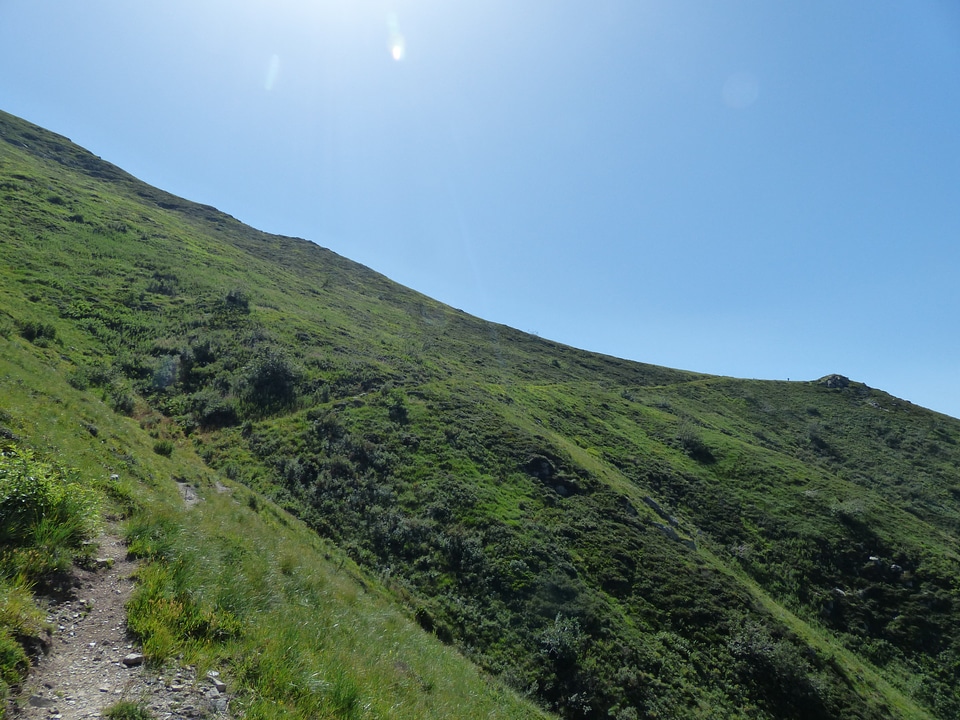 Grassy slope trail maritime alps