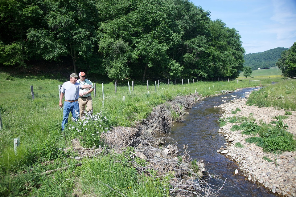 Brook Trout Restoration-6