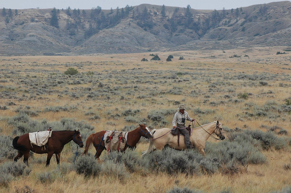 Refuge patrol on horseback