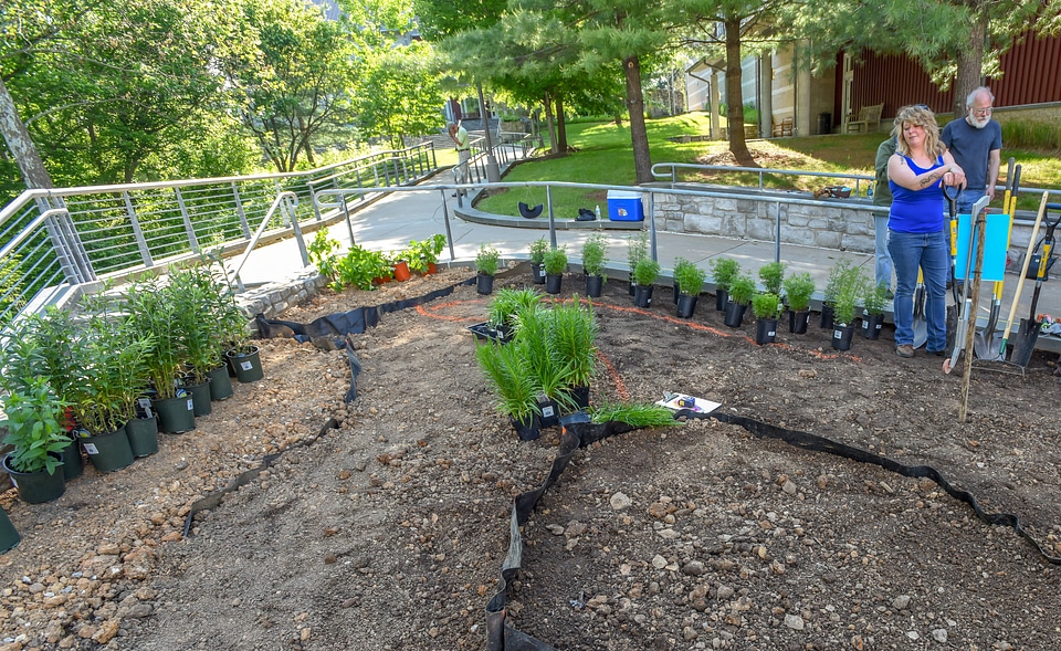 Monarch Waystation Garden-4