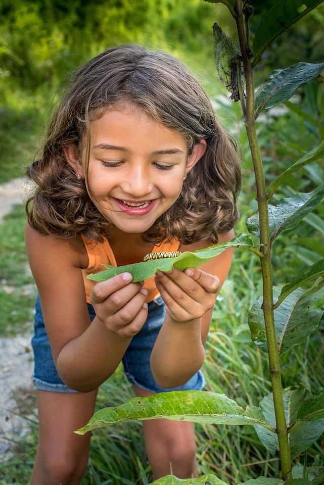 Young girl looking at Monarch caterpillar-5
