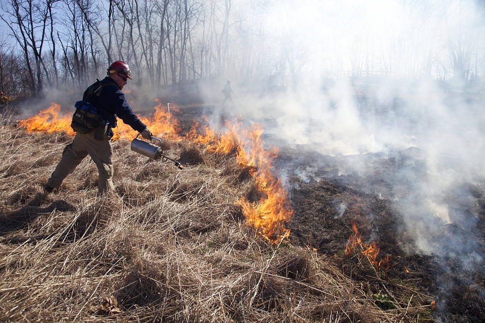 Firefighter torching grass-1