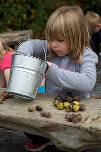 Bucket of nuts photo