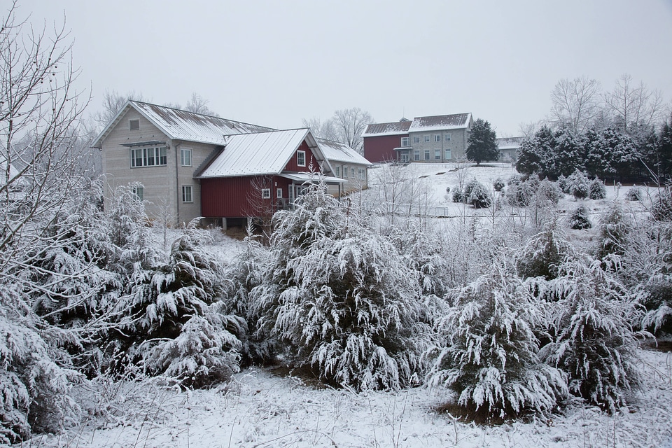 Snow on buildings-1