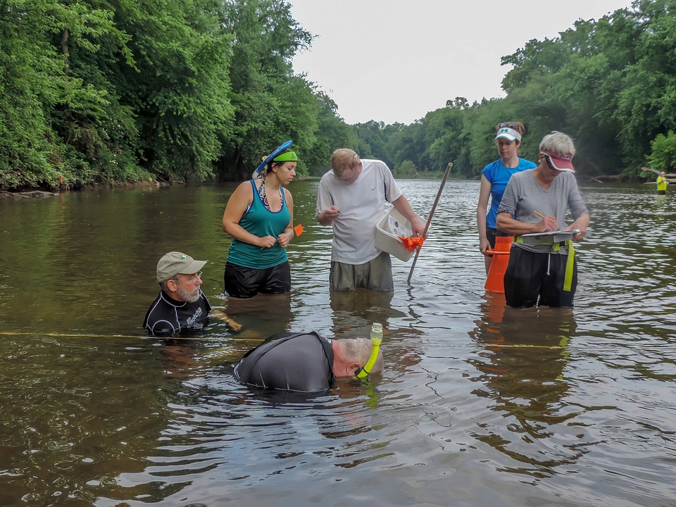 Students surveying freshwater mussels-2