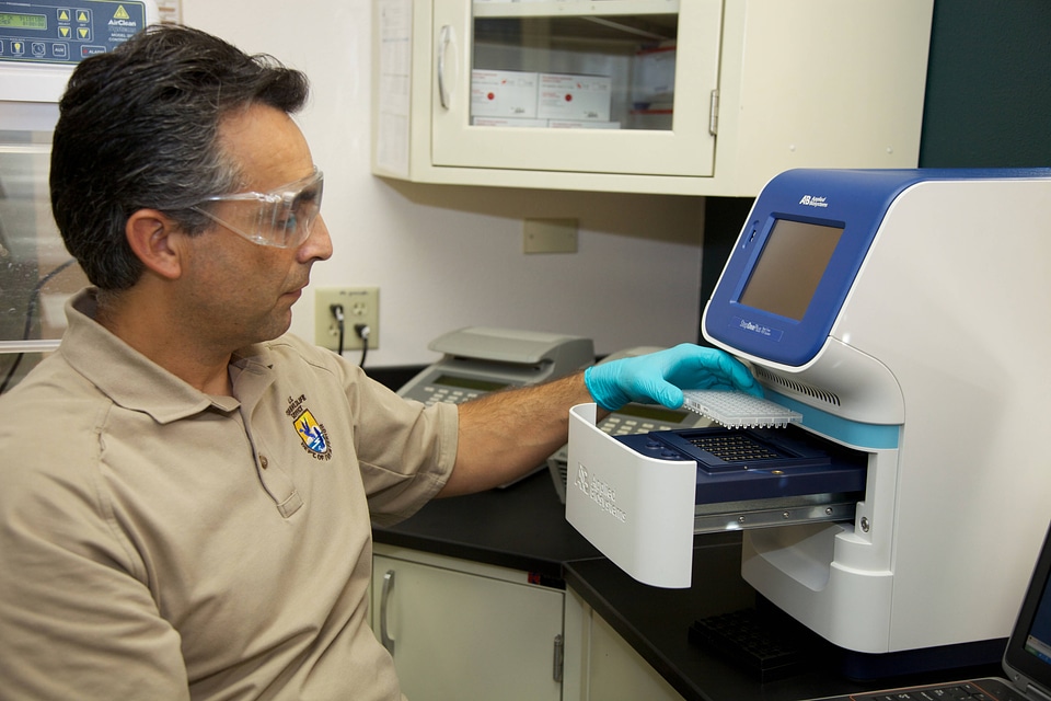 Service scientist conducts ELISA tests-1