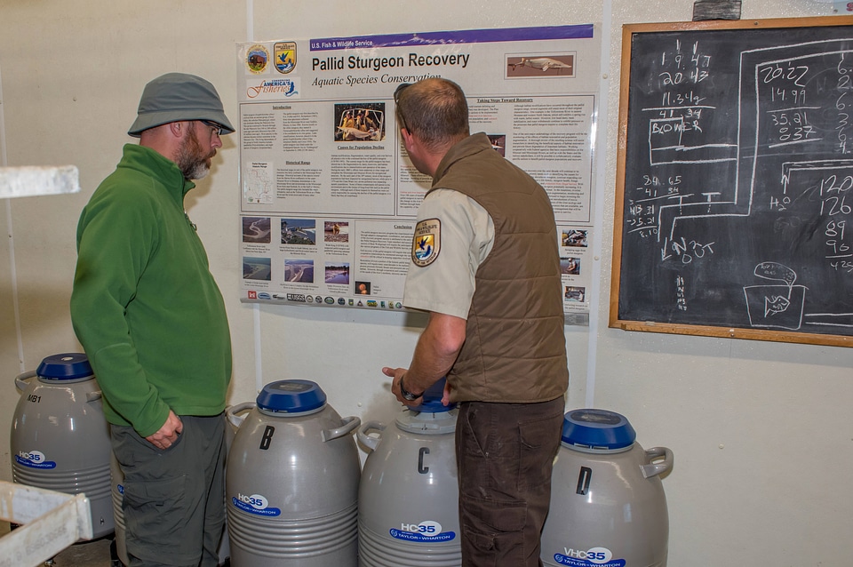 Biologists at cryogenic tanks for Pallid sturgeon sperm