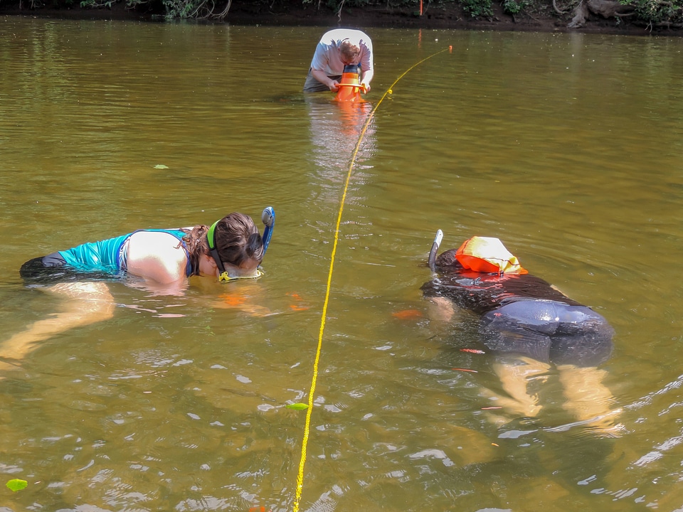 Students laying underwater transects-2