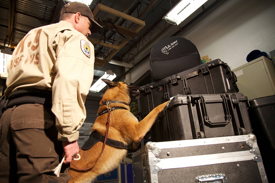 Law enforcement with K-9-1