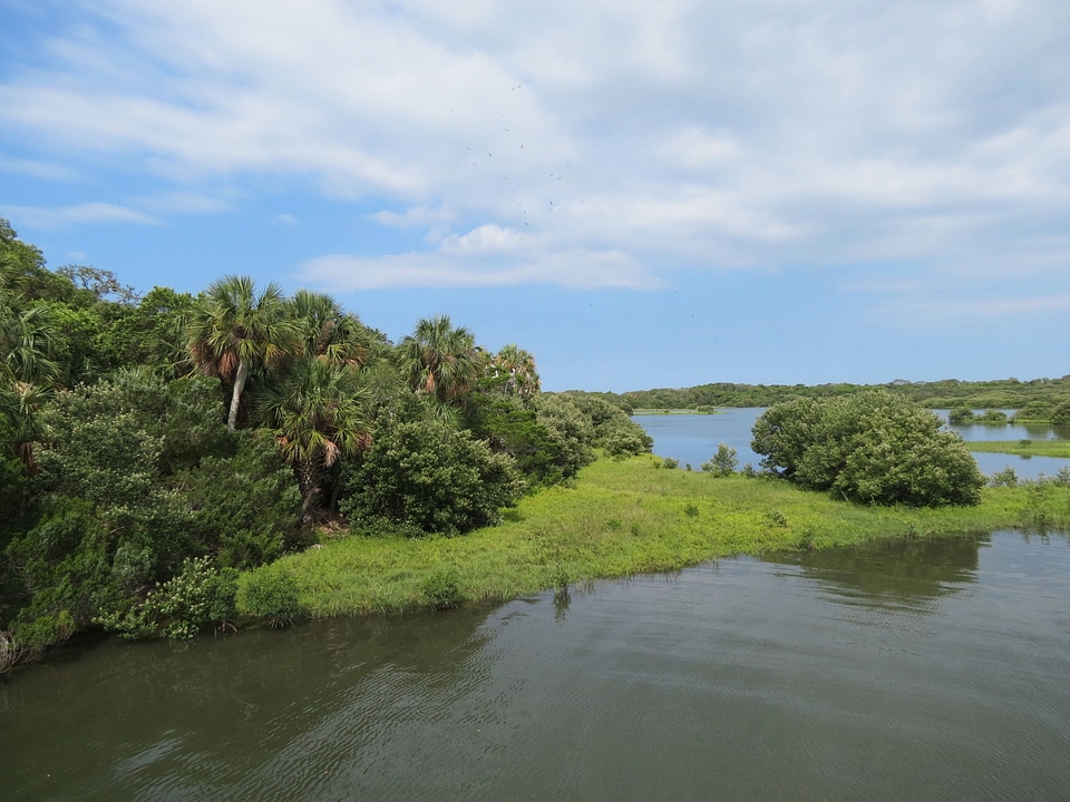 Landscape at Cedar Keys National Wildlife Refuge