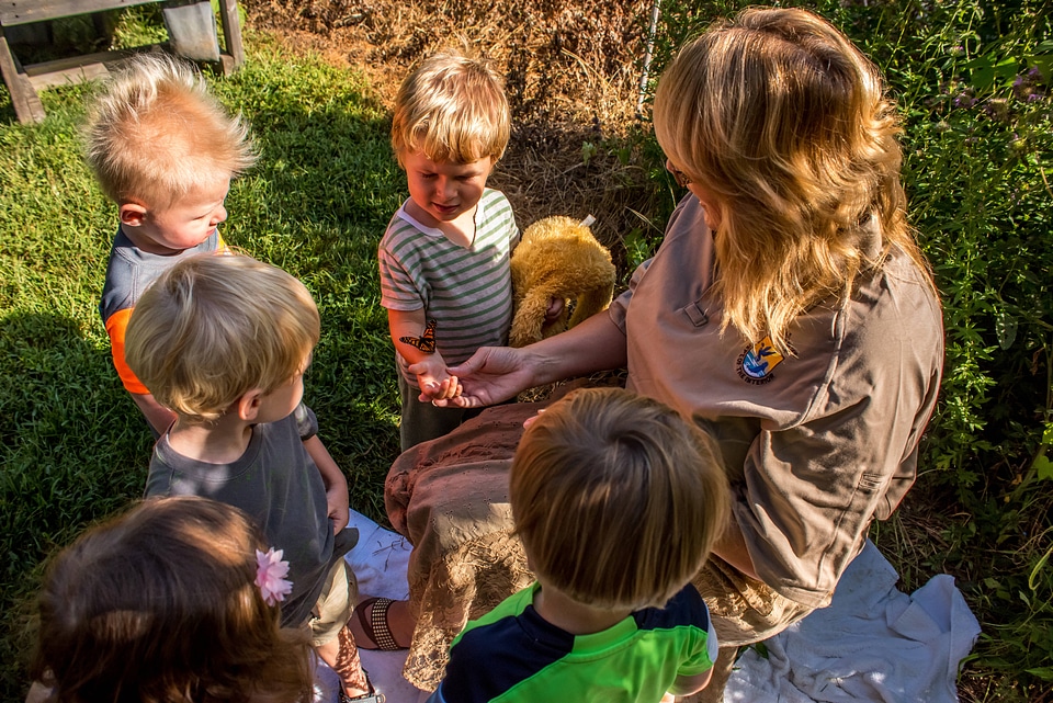 FWS employee showing children a monarch-1