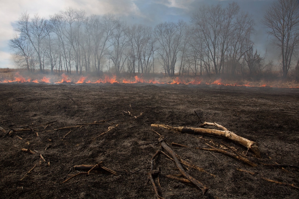 Prescribed burn at NCTC-1
