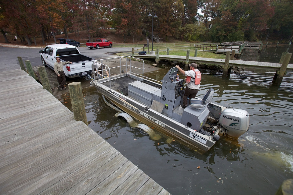 Electrofishing for Northern Snakehead-4