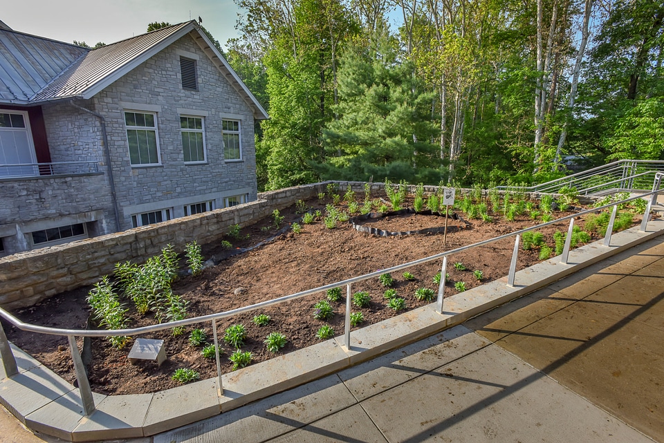 Monarch Waystation Garden-1
