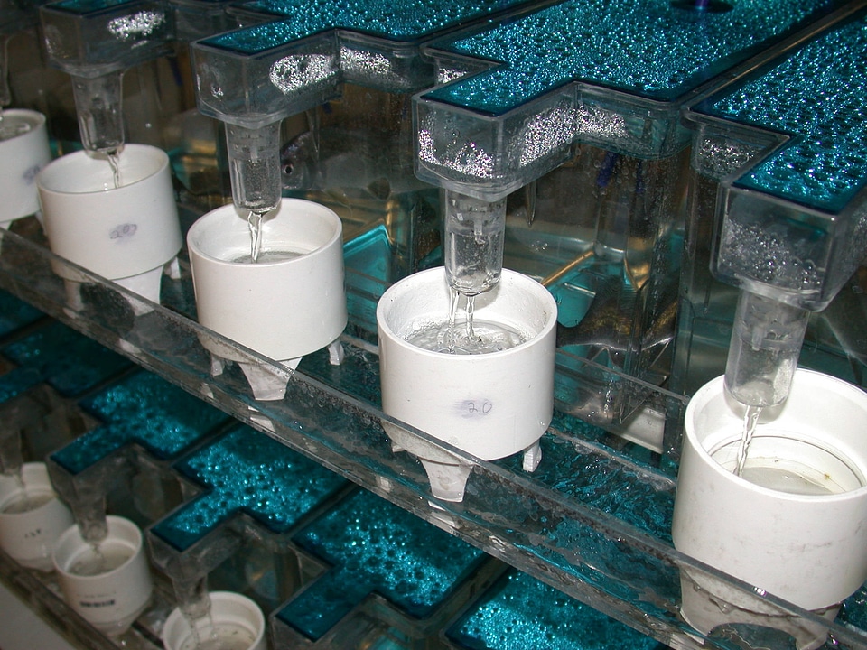 Filter cup used to collect juvenile mussels-7